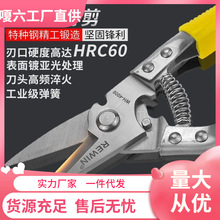 ���Ǽ��FƤ�������ռ��X�۰弯�ɵ���F�z�������P�늹�����