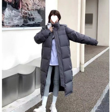 qŮ2025¿ӺqL^ϥH