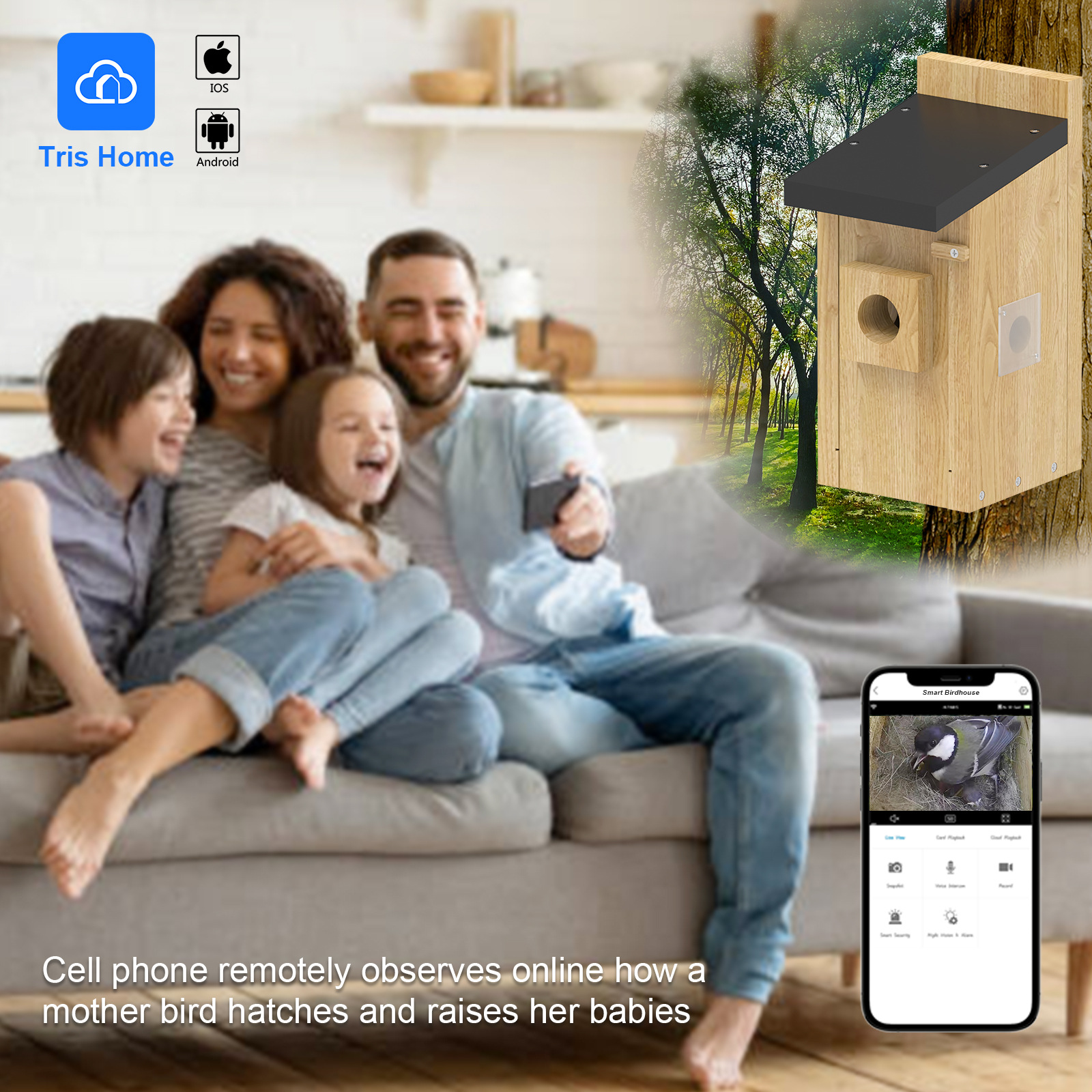 Fábrica de fuente inteligente visual pájaros incubación nido de pájaros nido de pájaros comercio exterior explosivo inalámbrico monitoreo wifi 2K cámara
