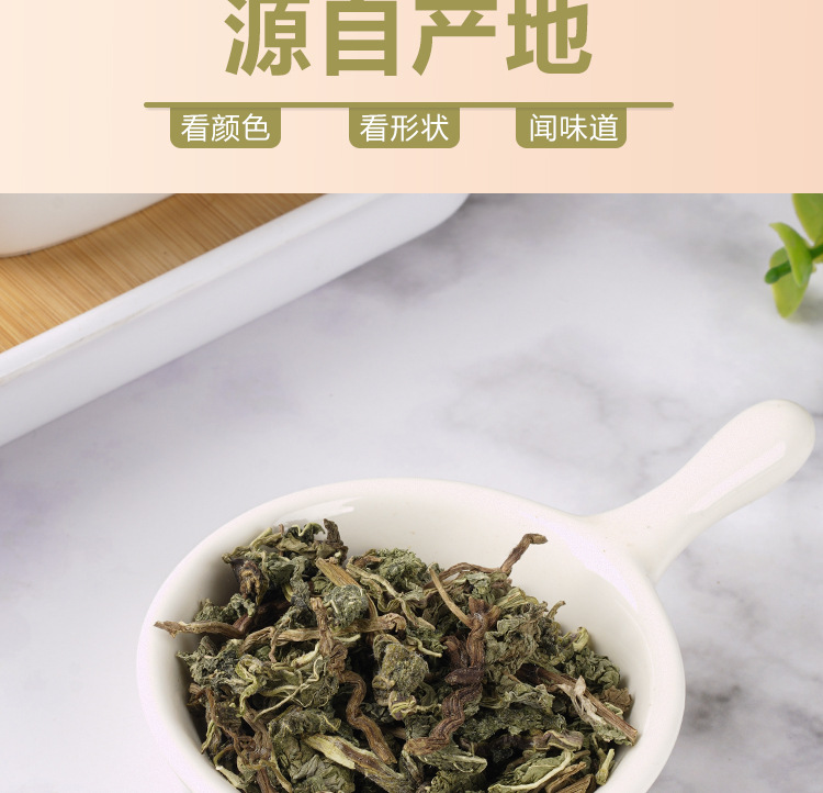 Mint Leaf Tea (Mentha haplocalyx) — Dried Mint Herbal Tea, 75g Jar for Cold Brew & Fresh Infusions in use