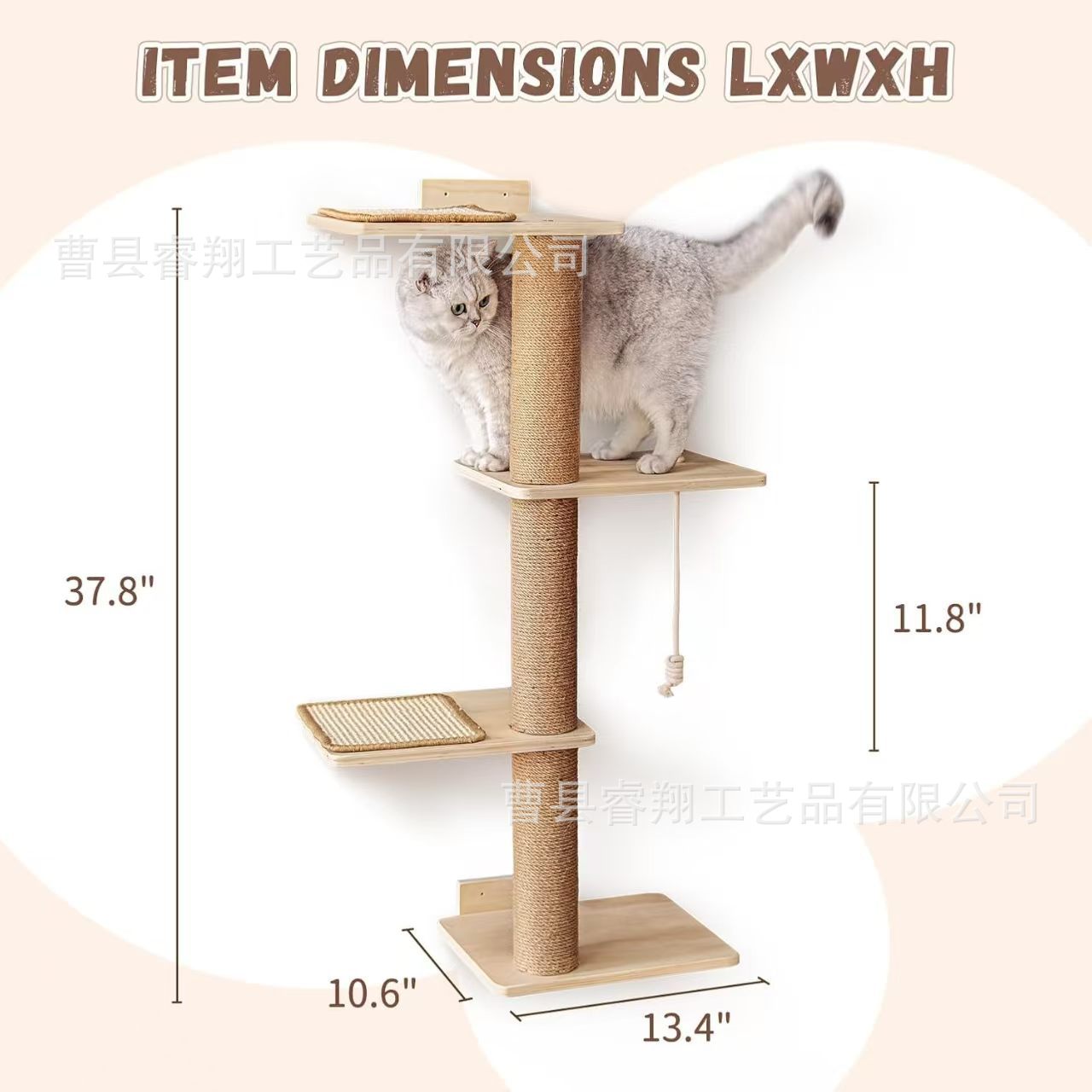 微信图片_20250117084144