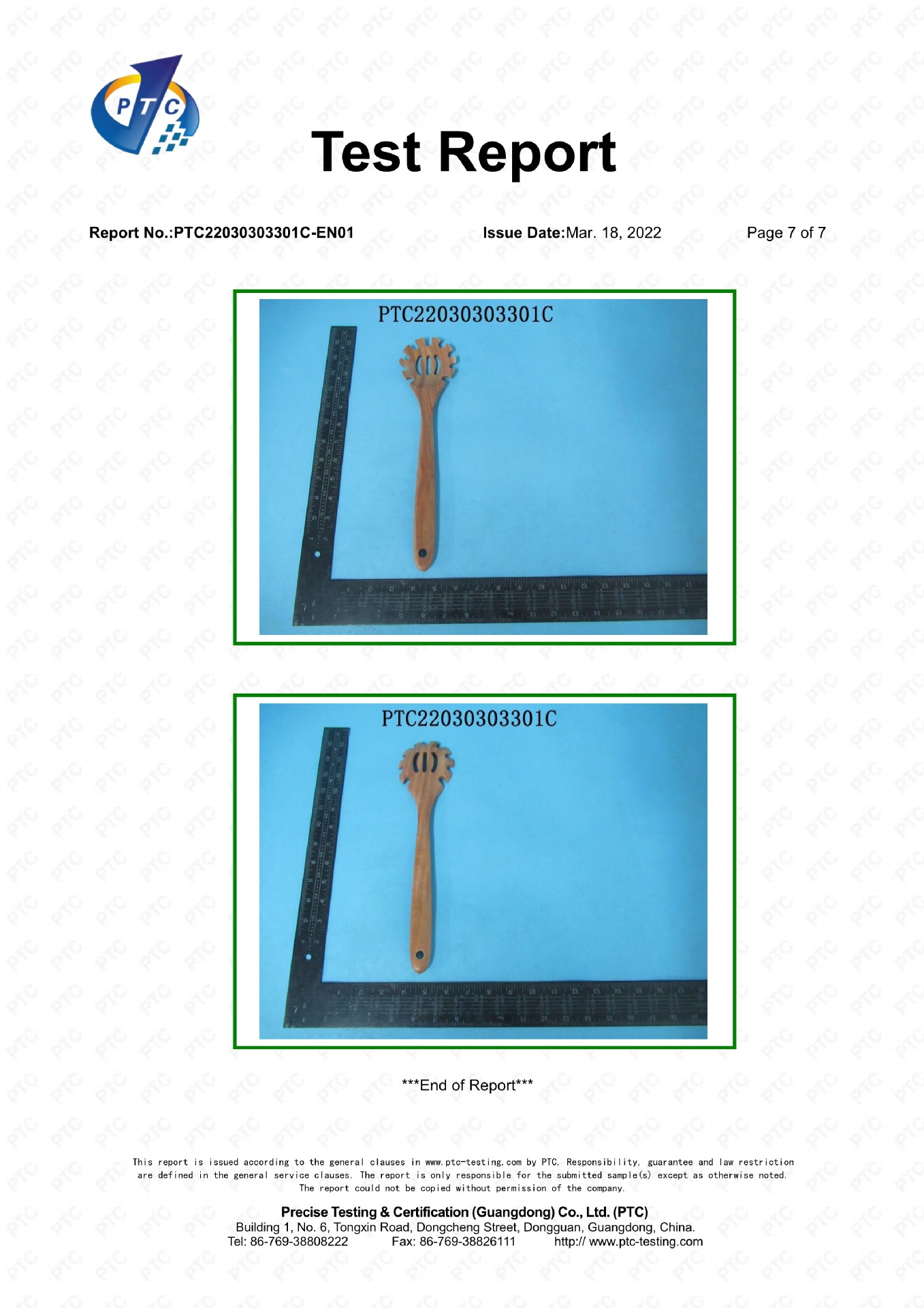 PTC22030303301C-EN01 三只熊07