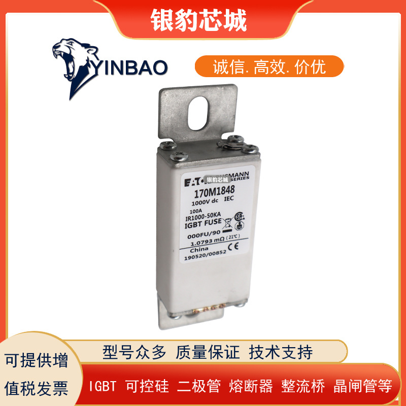 170M1845 170M1846 170M1847 170M1848 170M1849全新熔断器