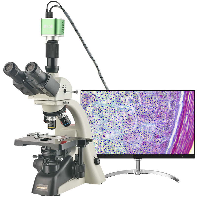批发 40X-1600X高清电子生物显微镜HDMI和USB输出830万像素4K相机