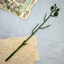 3��28cm�����m��֧���滨֦�^���U��Ӳ��������m��֦�Ĳ����ֲ