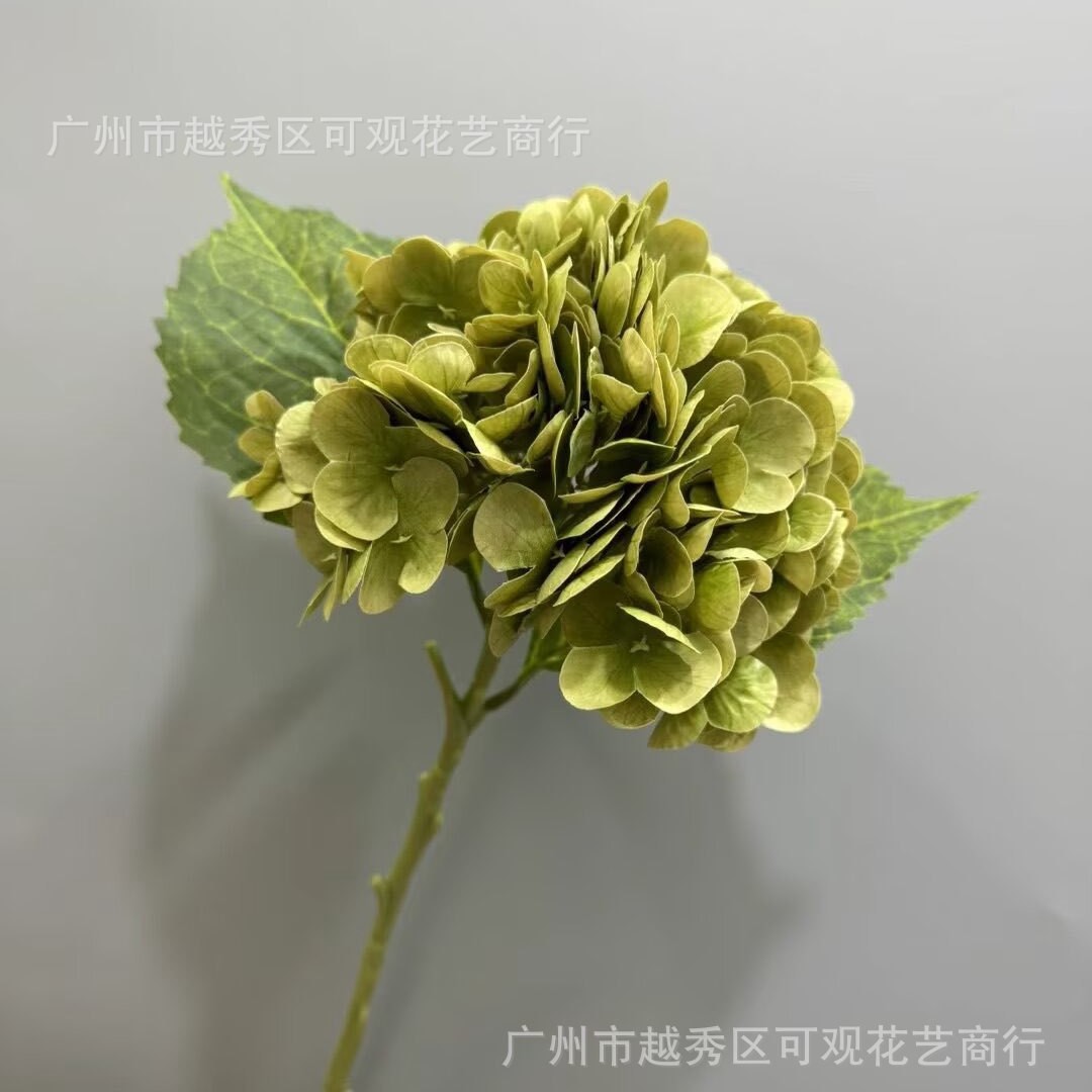 황록색