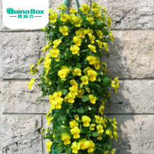 ���R�d��Ʒ�����̨�Ғ�ʽ���ܷNֲ��20��16��PEʮ�ֲ�ݮ�Nֲ��