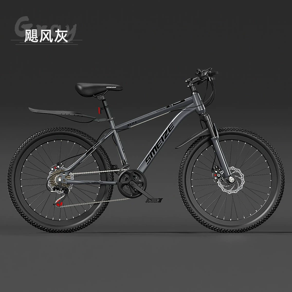 Explorer [Gray] Shock Absorbing Disc Brake Spoke Wheel
