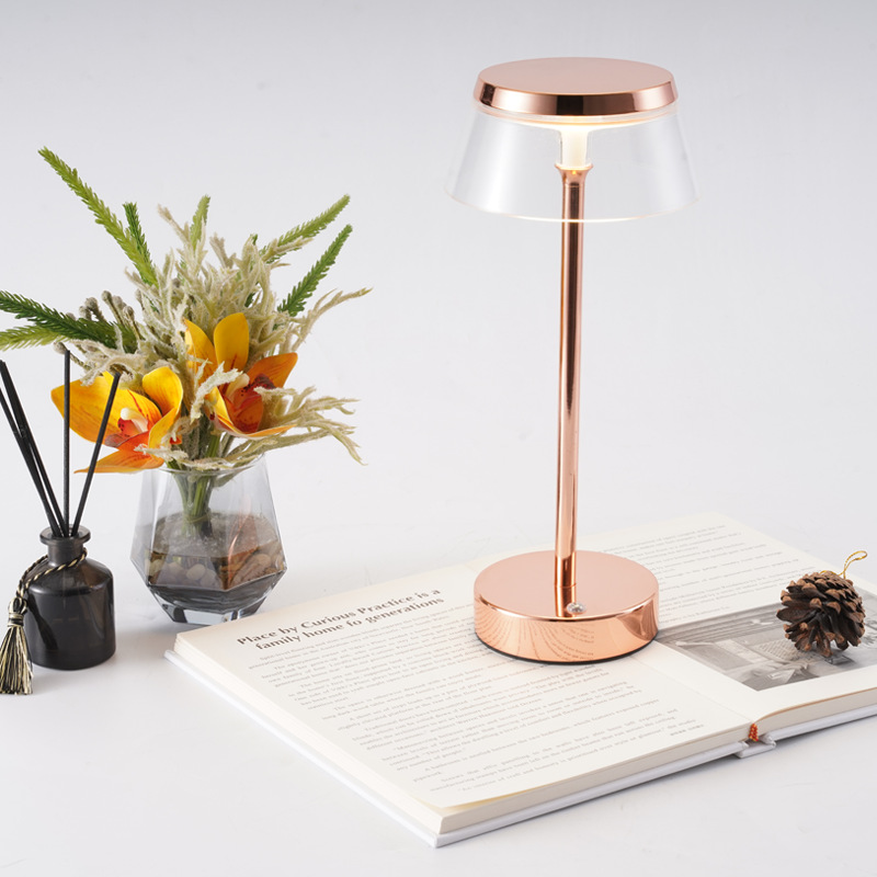 Cross-border Light Luxury Iron Art Led Lamp For Bars, Cafes, Bedside,...