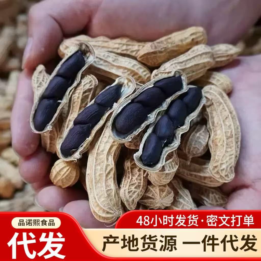 富硒黑花生云南黑花生带壳紫衣花生黑衣养胃生花生批发代发
