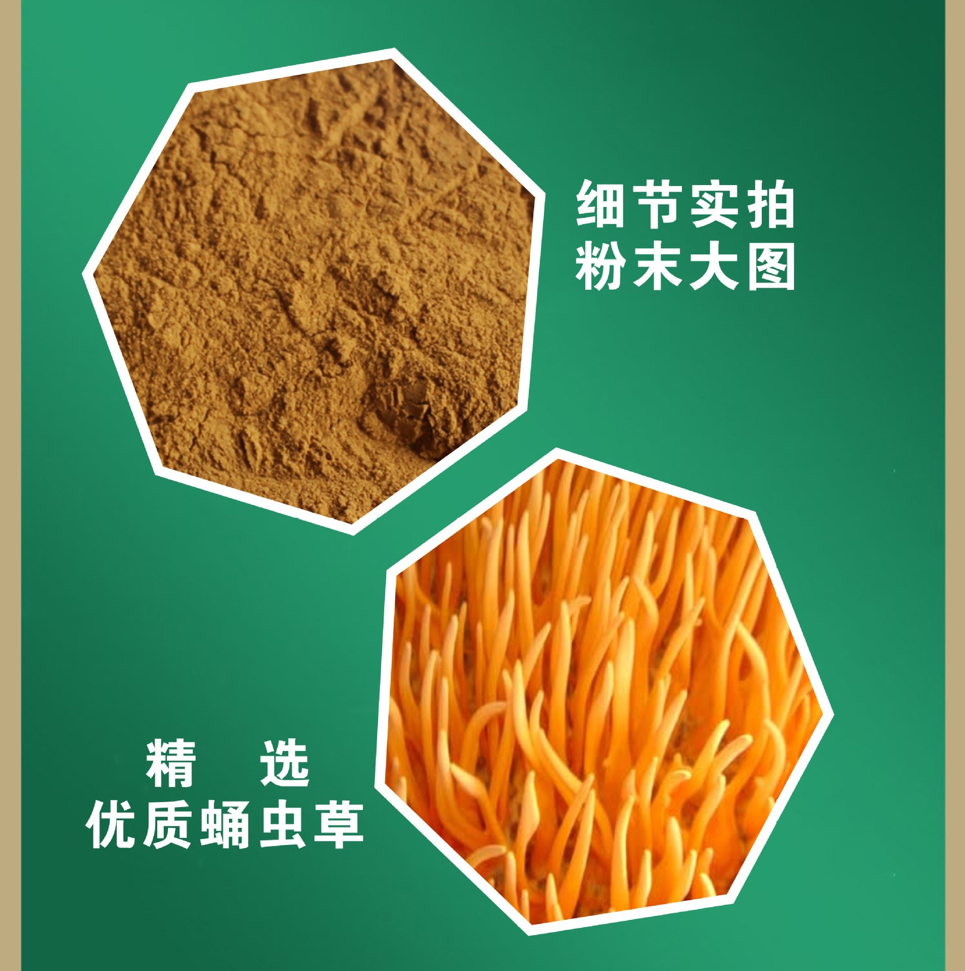 破壁灵芝孢子粉——解锁神奇草药的新篇章