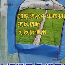 ����ͨ�L������ͨ�L����ͨ�L�T�����L�T�����L�������L�Tţ��̫��