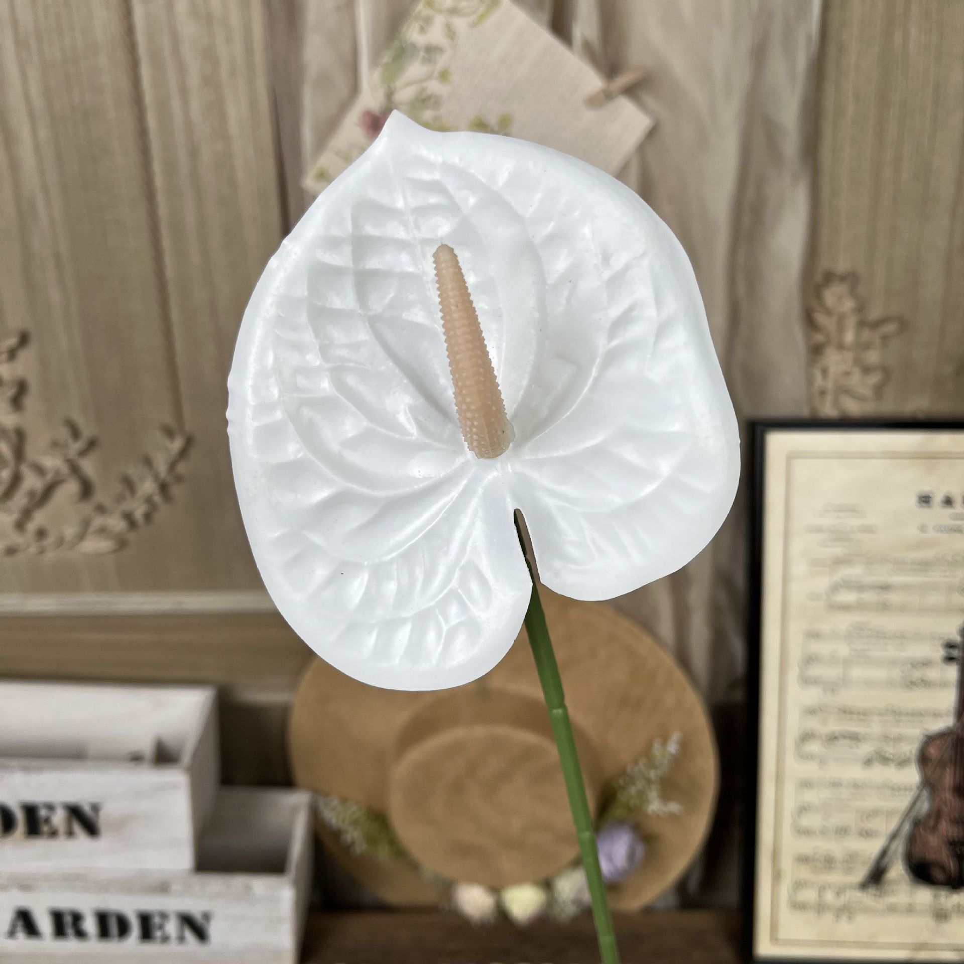 FY-Anthurium-branco
