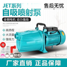 ȫԄˮˮø߉ü220Vˮˮ