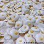 仓鼠兔子金丝熊