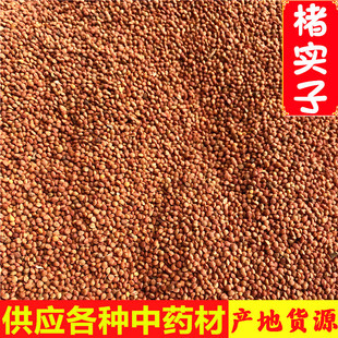 楮实子 500g 褚实子楮实籽 褚实籽 产地货源 鲁之韵中药材 代打粉-阿里巴巴