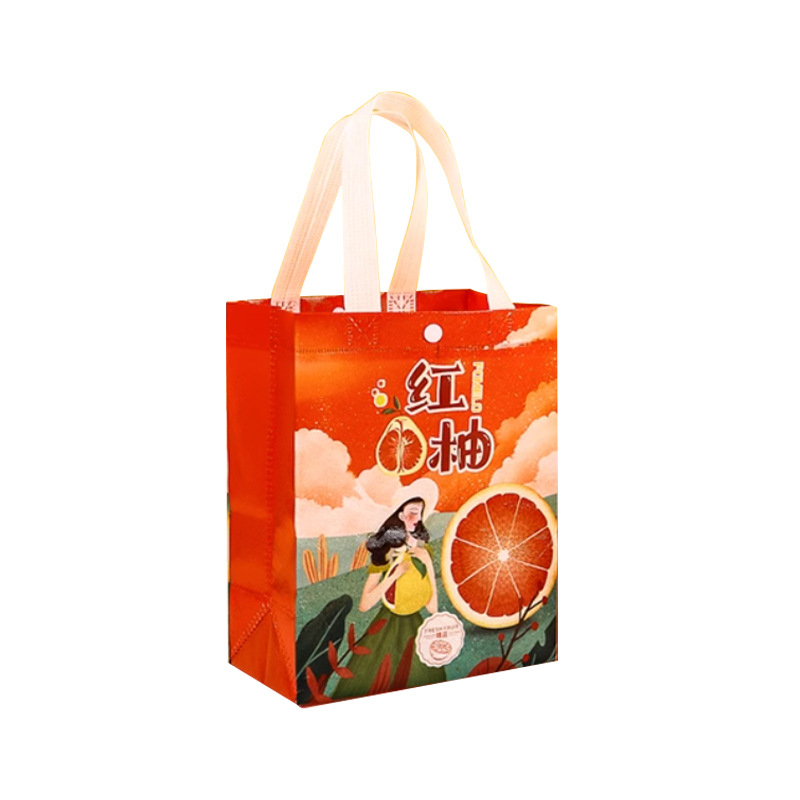 Cloth bag non-woven cloth