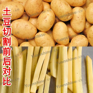 全自动果蔬切条机 萝卜土豆切条机尺寸可定 薯条加工流水线