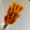 Retro orange rabbit tails around 60 brands