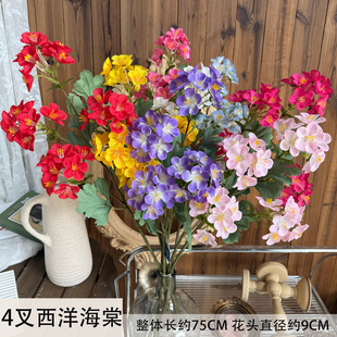 4�������Ļ����滨��c����·���廨�ٻ��b�ˇ�zӰ���ߔ[��