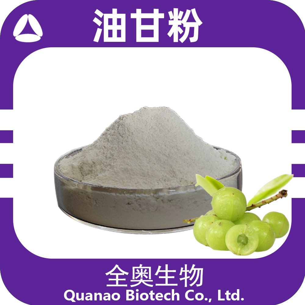 油甘粉余甘子油柑子汁粉食品原料SC认证工厂免费拿样提取浓缩粉