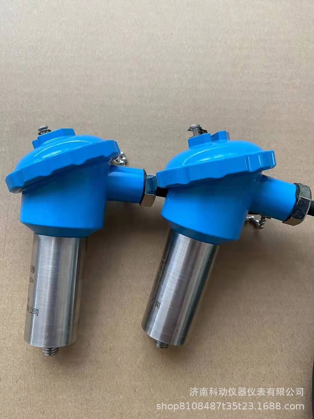 CZ9300 RS5484E 防爆一体化振动变送器 震动传感器