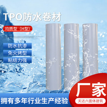 TPO防水卷材 熱塑性聚烯烴  均質型 高分子材料 常規TPO防水卷材