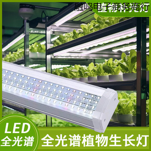 Full-Spectrum Succulent Fill Light for Home Coloring and Anti-Longing Indoor Plant Seedling Growth Fill Light Tube