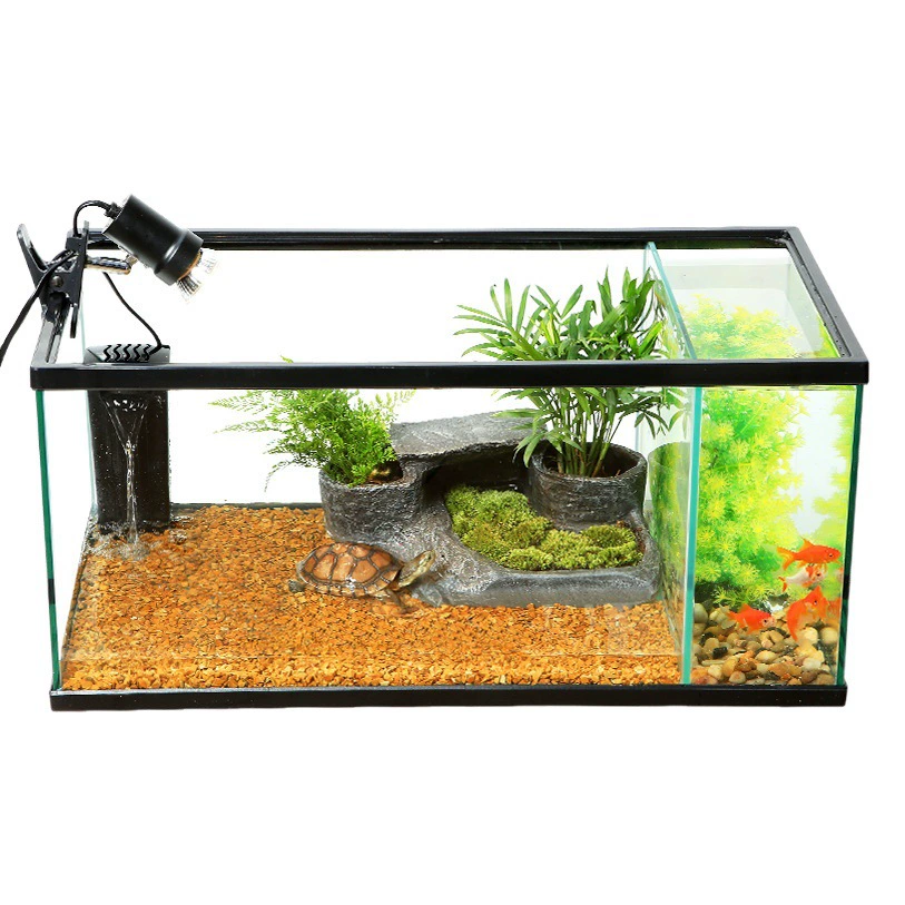 Стеклянный резервуар для черепахи с солнечным столом Бак-амфибия Экологический резервуар для воды Бак для черепахи Смешанный резервуар для черепахи