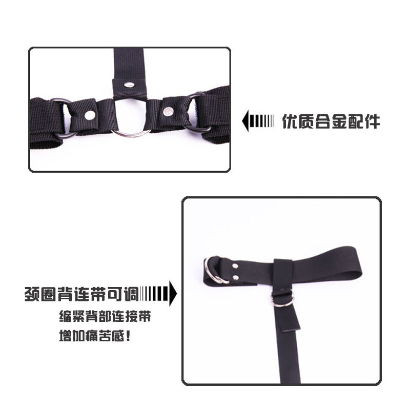 ������Ȥ��Ʒ���������־���������������ȦŮ�õ�����߳���ֱ��