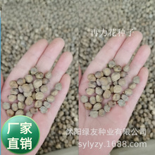 ���lˮ��ֲ��  �������N��  ˮ����ˮɏ��������ͦˮֲ��N��