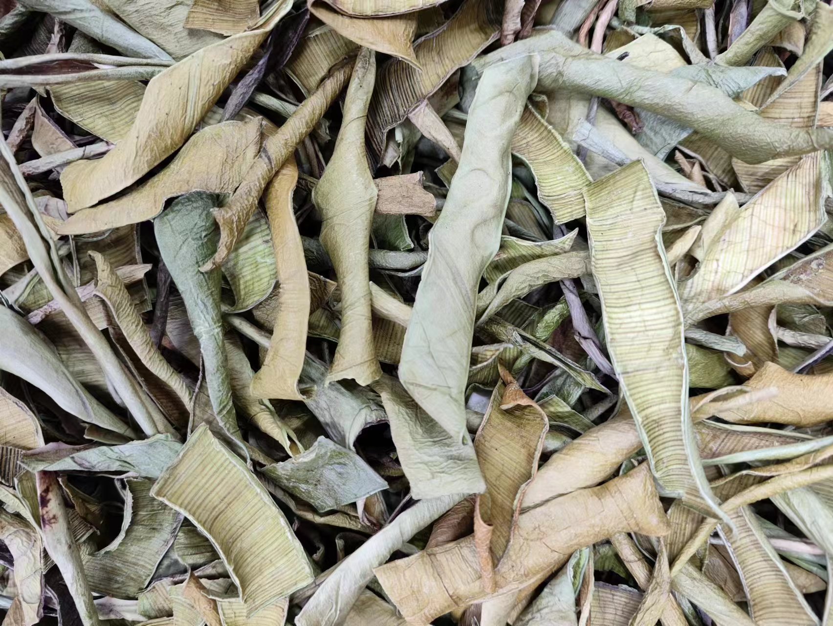 Aloe Peel (Aloe vera) — Dried Aloe Rind & Shreds, Food-Herb Botanical for Tea & Soaks specifications