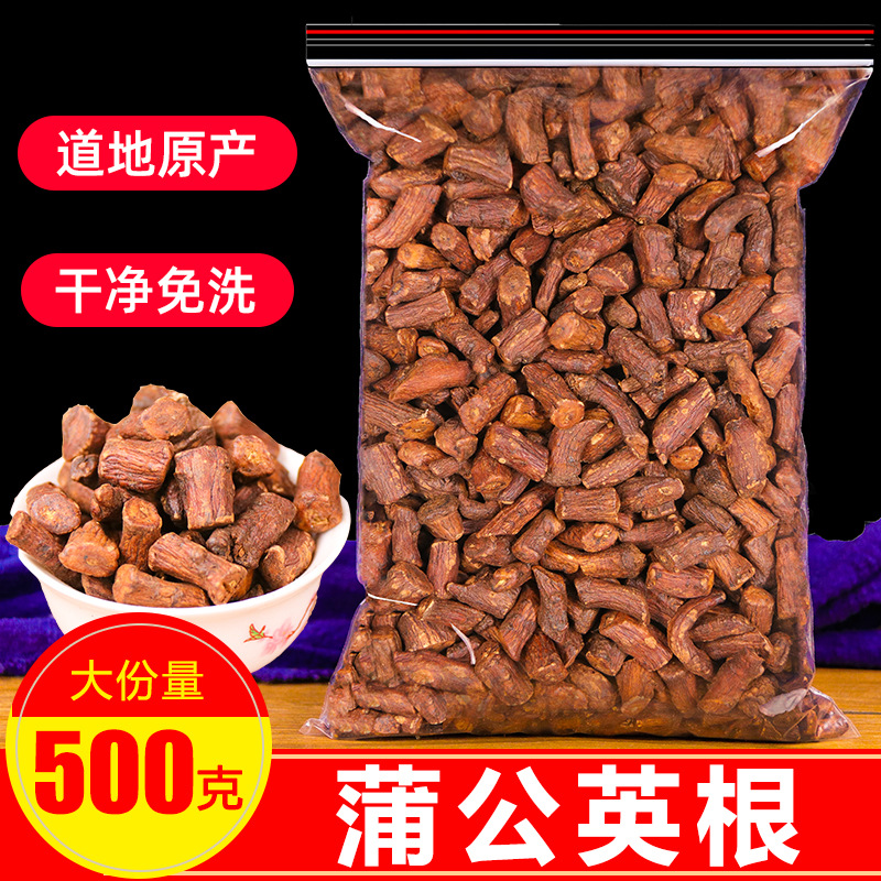 蒲公英根茶500g长白山野山特级蒲公英根养生茶婆婆丁泡水泡茶散装