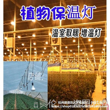 �»��܄�ֲ��̫ꖹⱣ�ؾGֲ�߲˟�������Ҽt�⾀��ȡů���؟��o