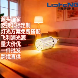 投光灯;庭院灯;LED玉米灯