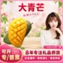 越南鲜食香甜新鲜原料