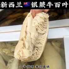 �����m�yާ�M��ţ���~ţ�ǻ��ţθ�����uζǧ�Ӷǽ��X���M������