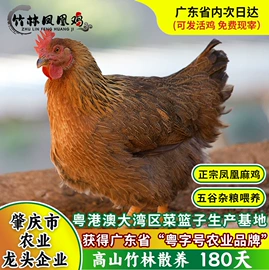 番薯类;薯干类;豆制品