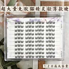 超大量免胶轻薄款猫精灵假睫毛上眼俏丽精致魅惑妆感仿真眼睫毛