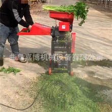 多功能电动打浆机 鲜秸秆青草牧草打浆机 福建养鸭养鹅瓜果粉碎机
