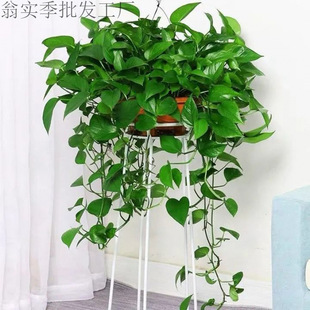 G}LّҒGֲk҃ȴ~Gjˮ໨ܺBLlֲ