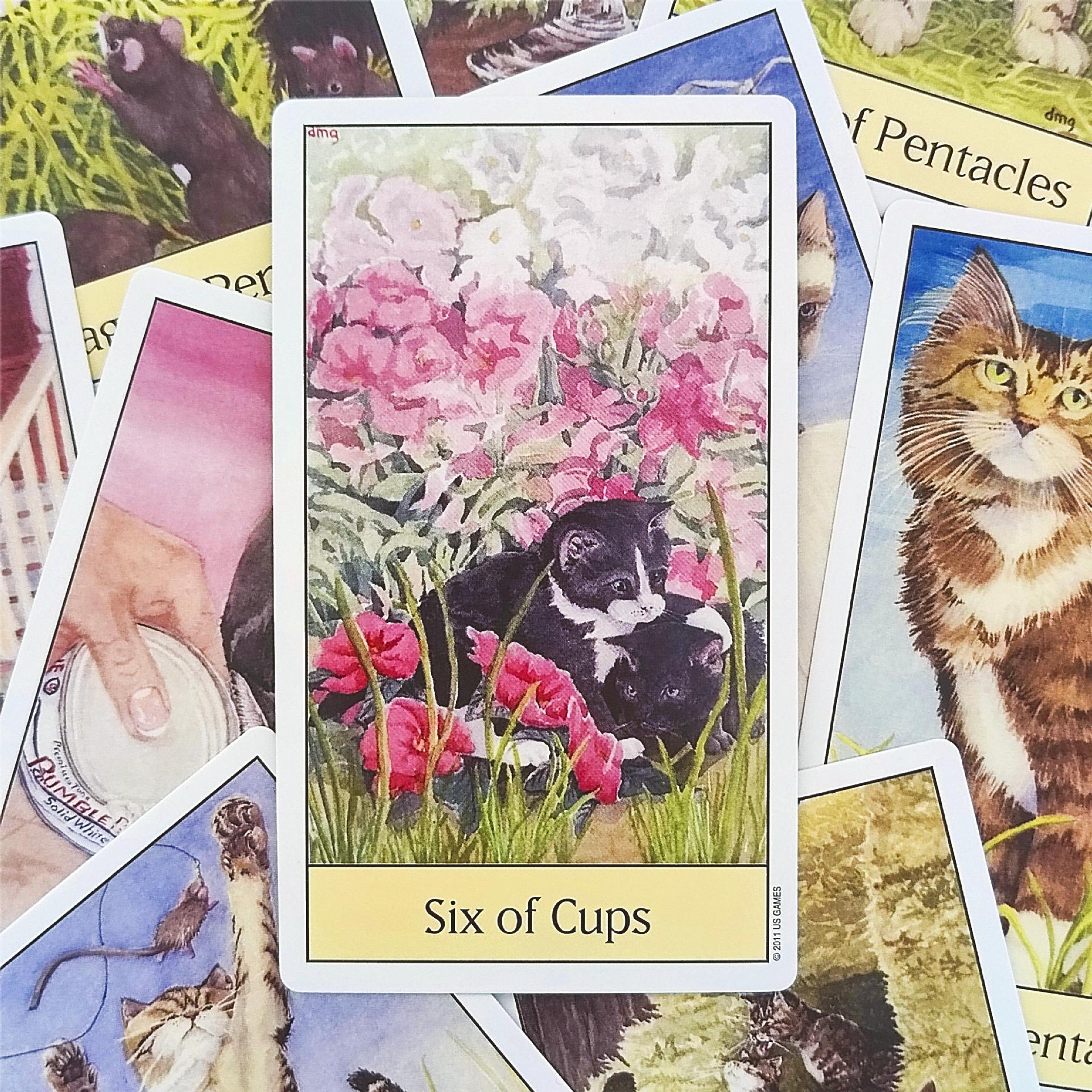 Nieuwe 12*7 Cats Eye Tarot Orakelkaarten_voghion.com