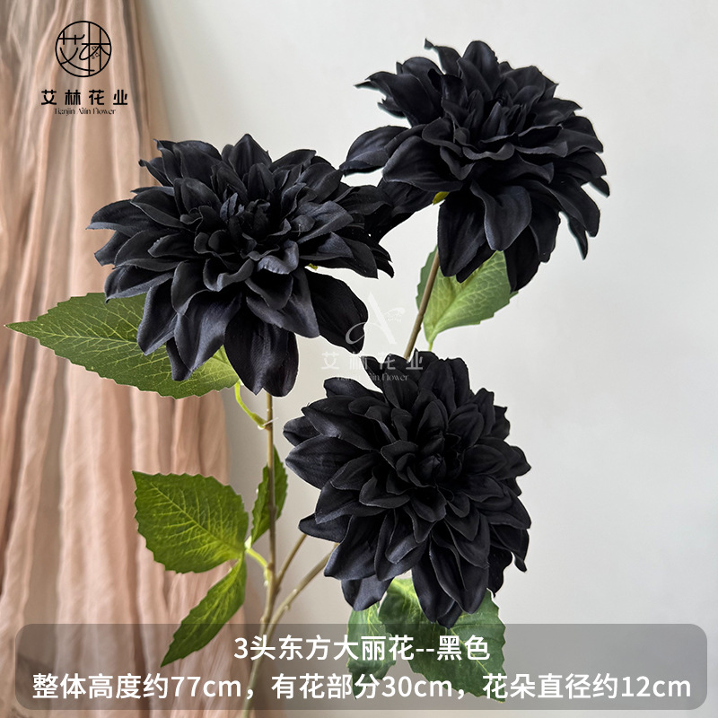 검은색