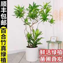 ٺGֲ҃ȿ͏dpݺBļWtֲ׳ɻ