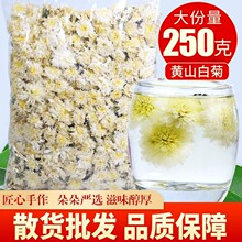 黄山白菊正宗泡水菊花茶新贡菊花散装胎菊养生正品黄山花茶