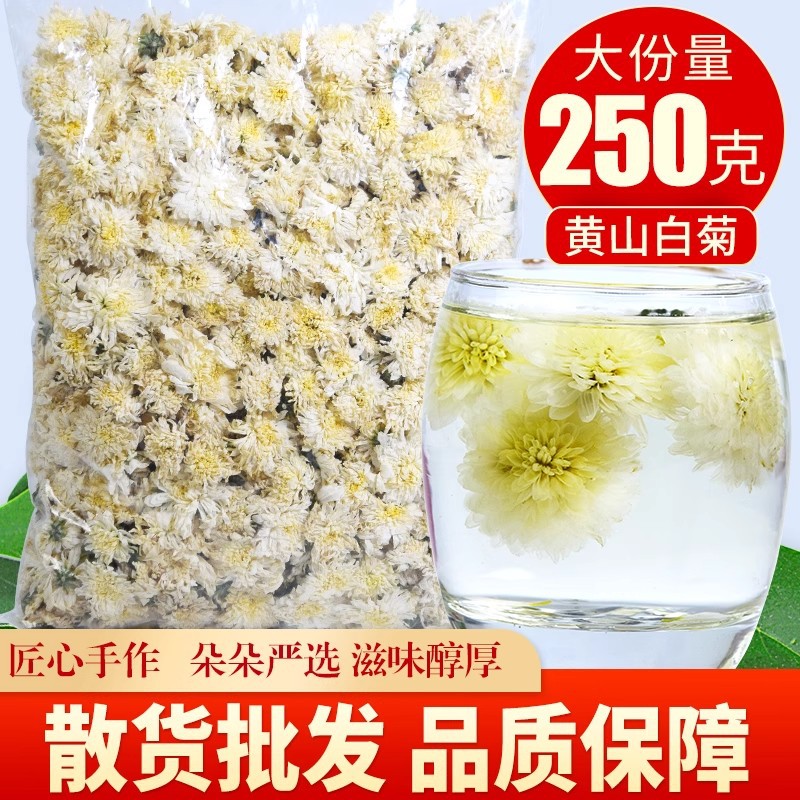 黄山白菊正宗泡水菊花茶新贡菊花散装胎菊养生正品黄山花茶