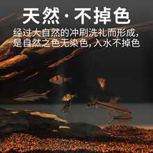免洗黑雨林沙鱼缸造景装饰底砂水草龟缸石英沙子南美缸雨林沙黑红