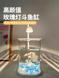 ����λ2025�¿������k�����^�p�~�~��С���~�ײ������쾰�͏d�W�t