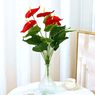 ����18�^��t�ƾGֲ���Կ͏d�k���ҾƵ��b��辰�ٻ��[��ֲ��@��