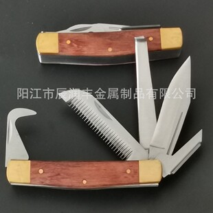 �๦��ľ�����P����㵶�m��ţ�R���㵶���ߚgӭ�� �� �� ��